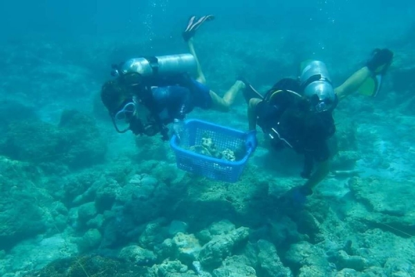 Бухта Майя Бэй ищет добровольцев